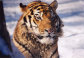 tourist_ekaterina009006.jpg